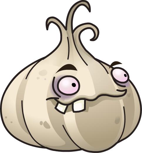 garlic