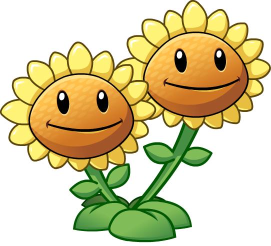 twin_sunflower